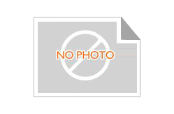 Lotion Plastic Packaging Bottles Round Type Customized Logo Containers for Personal Care Beauty and Health Product Packaging